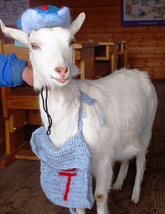 関東で春のデートを楽しむならココ！ふたりで行こうよ　おすすめデートスポット2選2