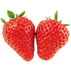 関東で春のデートを楽しむならココ！ふたりで行こうよ　おすすめデートスポット2選3