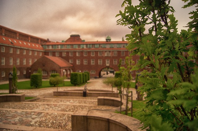 ハーバード恋愛スクール