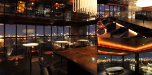 冬の花火と都心の夜景☆海を臨む最上階Sky Terraceで恋活パーティ