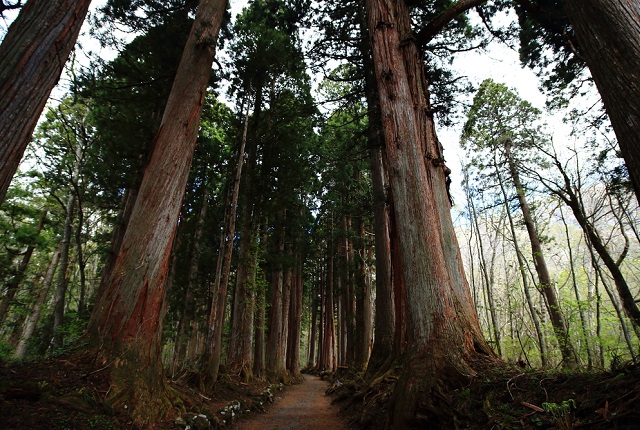 パワースポットで良縁に期待