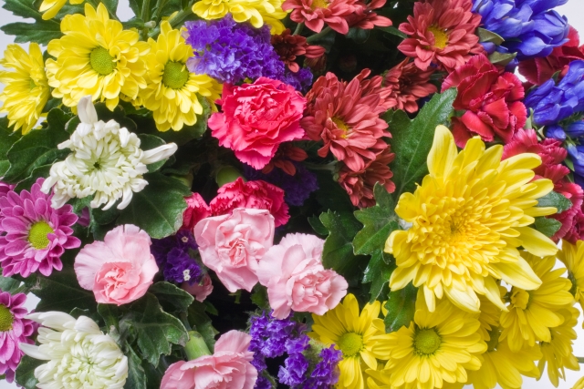 奈良県で“すてきな出会いがしたい”ときの強い味方！「なら結婚応援団」