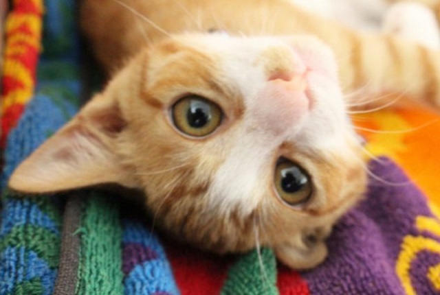 安心のサポート体制