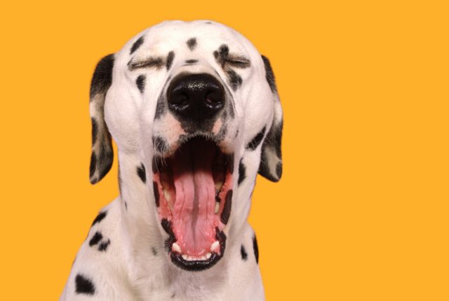 デート中に大あくび…理由はないけど楽しめない男女