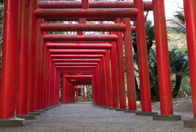 宮崎県で縁起の良いもの見つけた！一葉稲荷神社で婚活祈願！