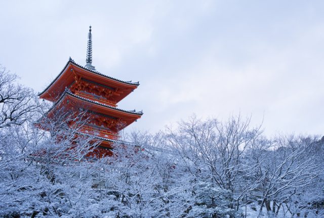 京都のおすすめ大人の婚活デートスポット3選‐冬編