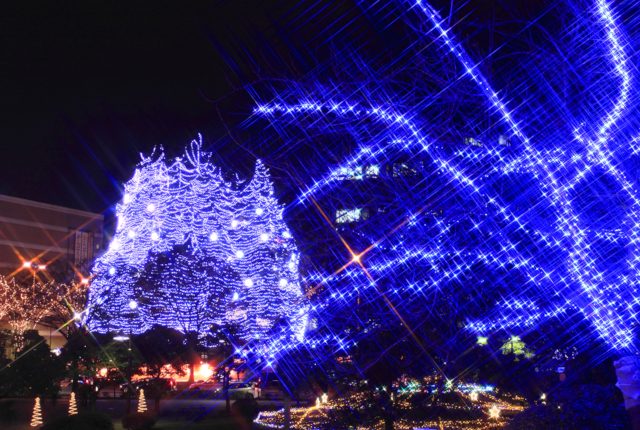 眩しくも優しい光に包まれる恋人達…仙台光のページェント