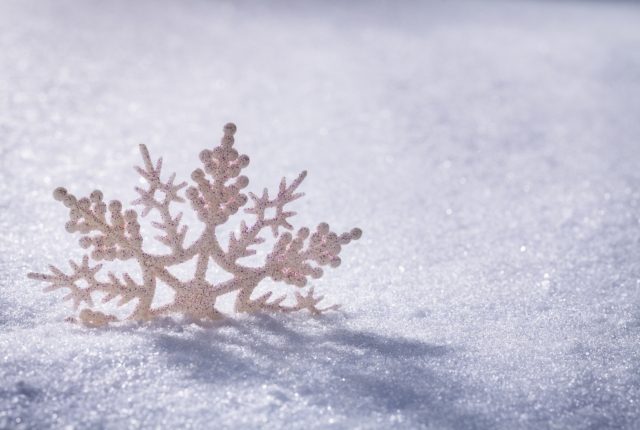 恋が実る雪の美術館…北海道旭川市にアナ雪の世界が広がる