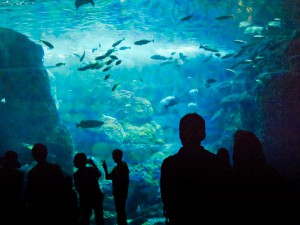 (第七話)32歳、独身、デートをする間柄の男性ができました。二度目のデートに心が躍ります