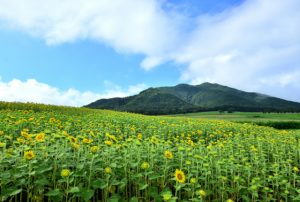 大自然の中での遊び方は多様