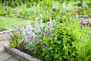 蒜山ハーブガーデンハービル