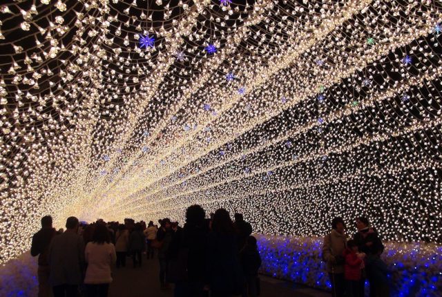 【婚活デートスポット】三重県のアナザーワールド!?なばなの里