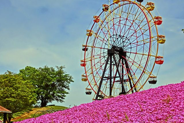 【婚活デートスポット】千葉のおすすめデートスポット2選