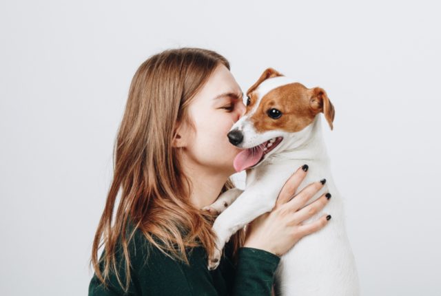 独身女性が一人暮らしで犬を飼う理由とは?