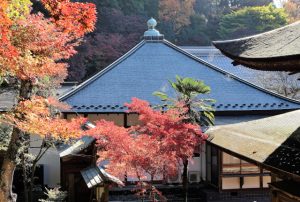 愛知県の隠れデートスポット【瀬戸市定光寺】で森林浴
