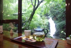 薬膳茶ソイビーンフラワー