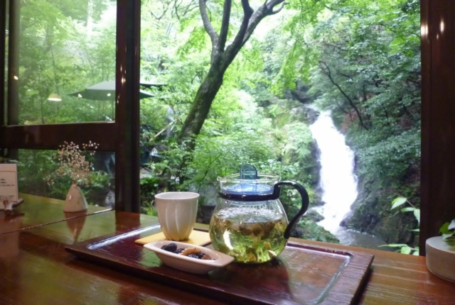 薬膳茶ソイビーンフラワー