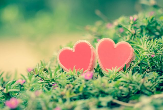 『デート~恋とはどんなものかしら~』第10話(最終話)まとめ!