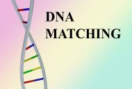 dna-matchmaking-2