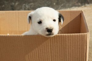 不幸体質の診断テスト