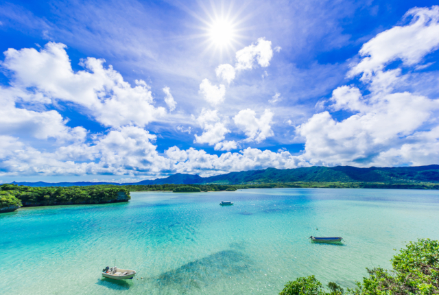 小池栄子主演『ペンギン夫婦の作りかた』国際結婚の絆