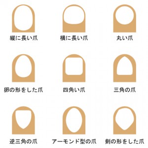 あなたの爪は何タイプ？