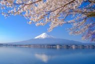 山梨県で婚活！“人気の高い結婚相談所”トップ3の魅力とは?！